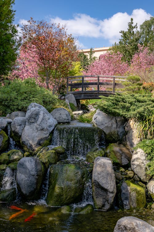 Seasonal Changes and Beauty