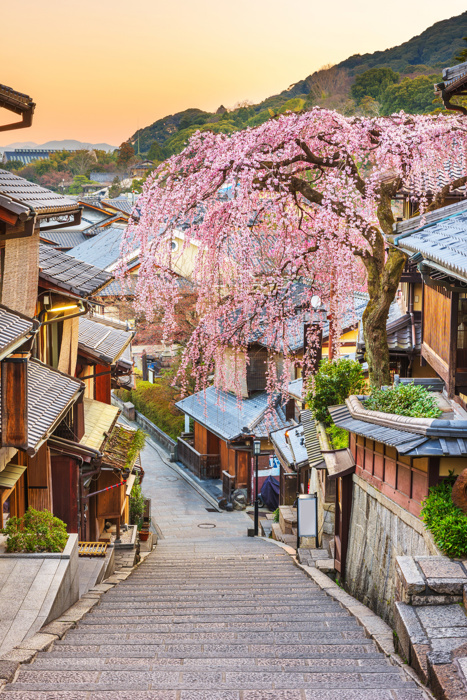 Kyoto, Japan springtime in the historic Higashiyama district art dawn