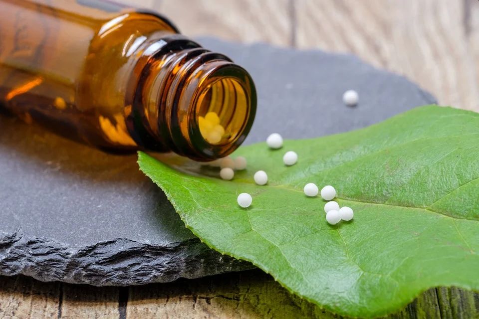 Homeopathy pills on a leaf