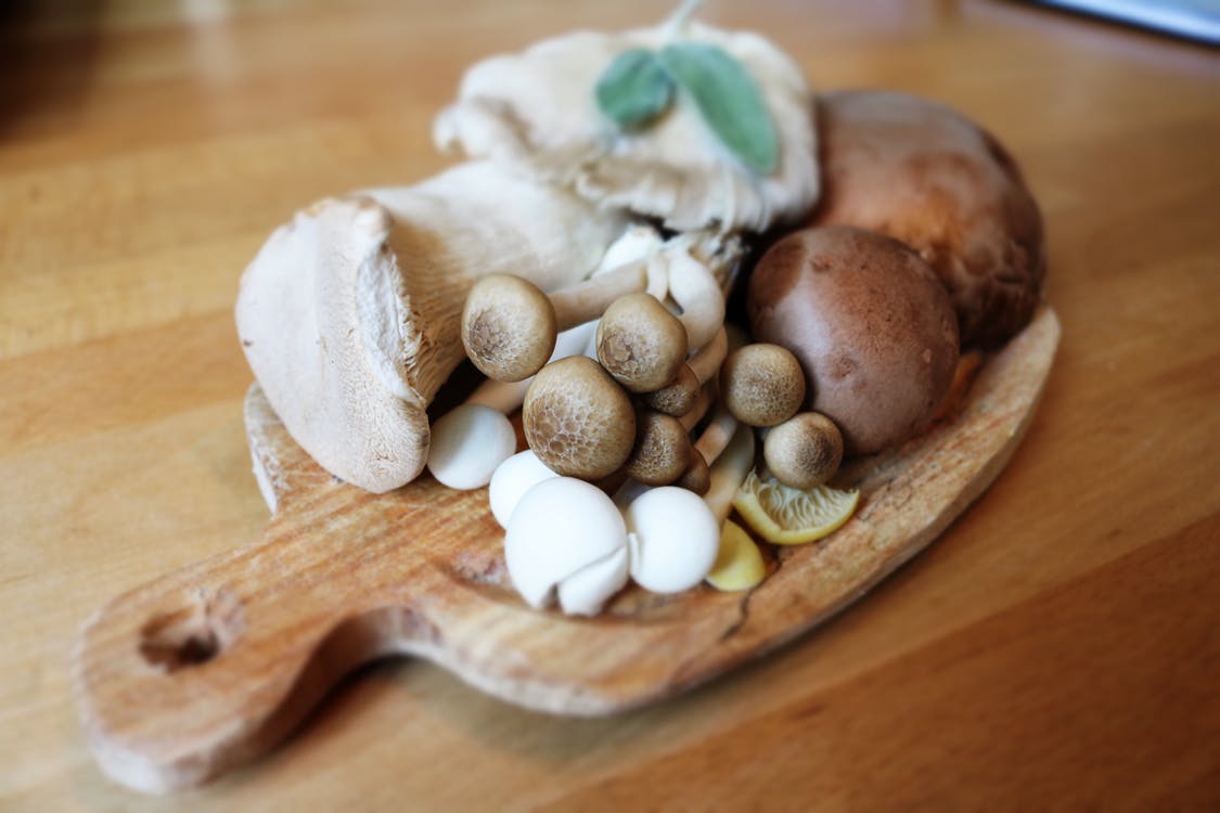 Top 5 Mushrooms To Boost Your Immune System