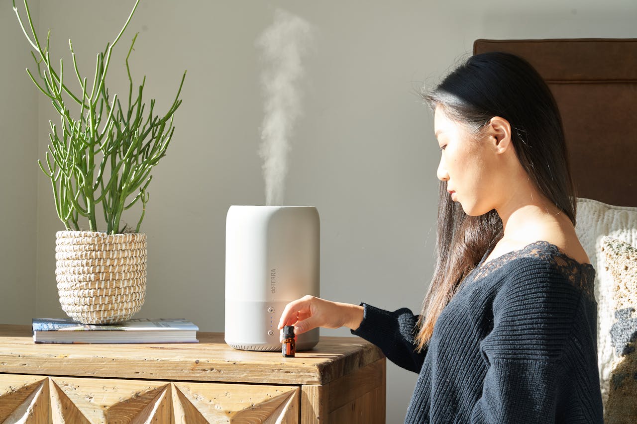 Things You Didn’t Know About Your Whole House Humidifier