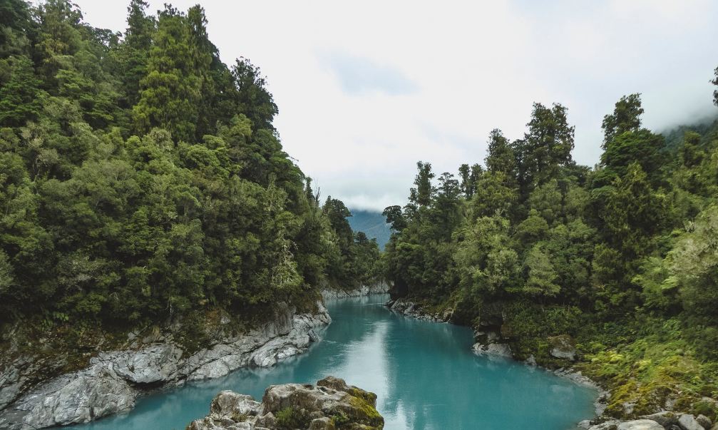 view of the river located in Kokatahi, New Zealand
