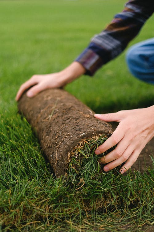 6 Tips for Hiring Lawn Care Professionals