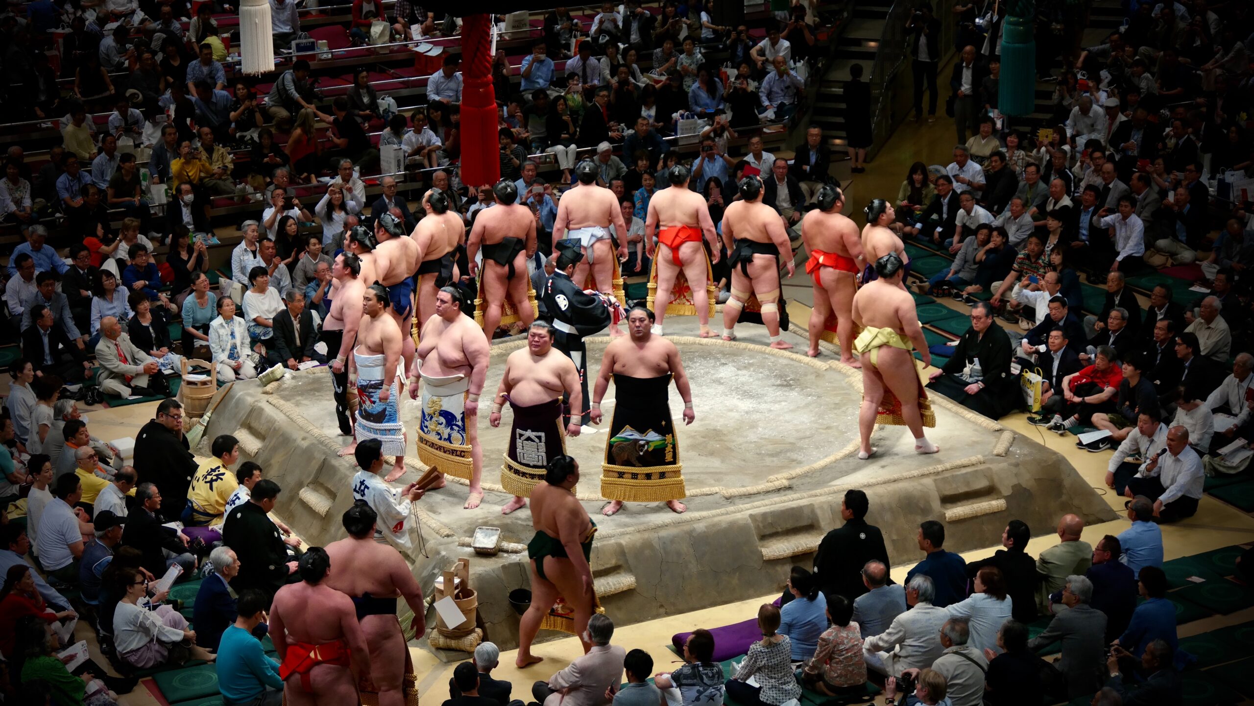 professional sumo 