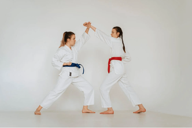 Karate's Global Influence
