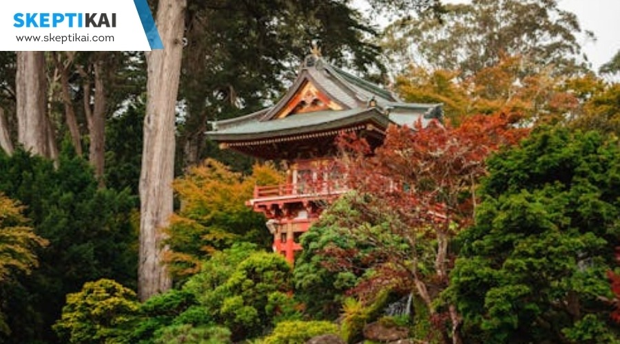 Learn About Harmony With Nature in Japanese Gardens